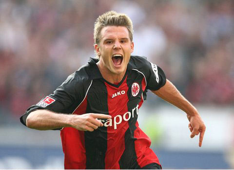 但近年来 但近年来