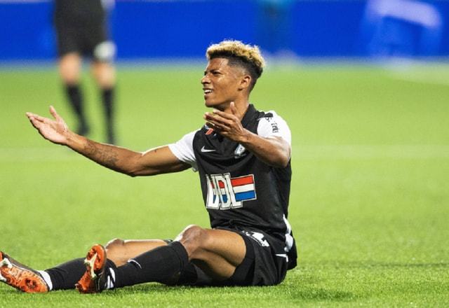 年轻的新星 年轻的新星