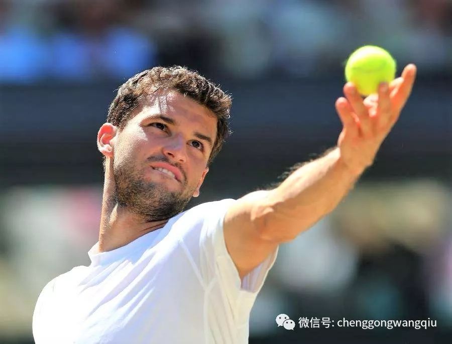 大量关注 大量关注