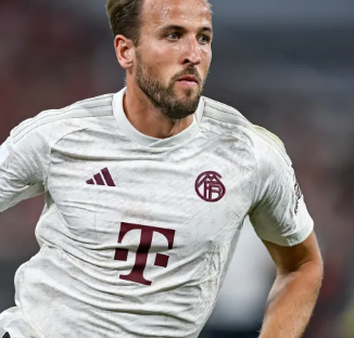 的重要例证 的重要例证